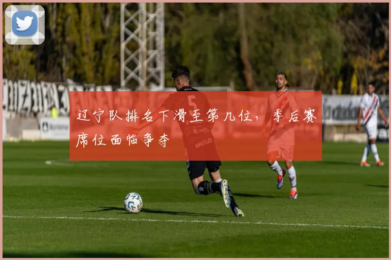辽宁队排名下滑至第几位，季后赛席位面临争夺