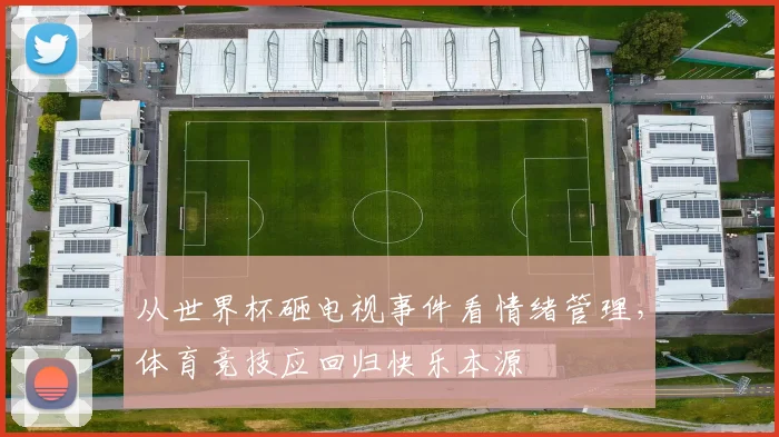 从世界杯砸电视事件看情绪管理,体育竞技应回归快乐本源