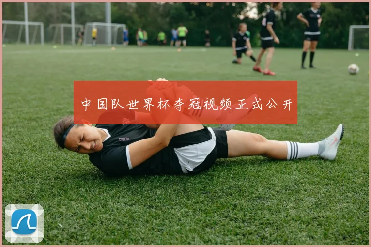 中国队世界杯夺冠视频正式公开