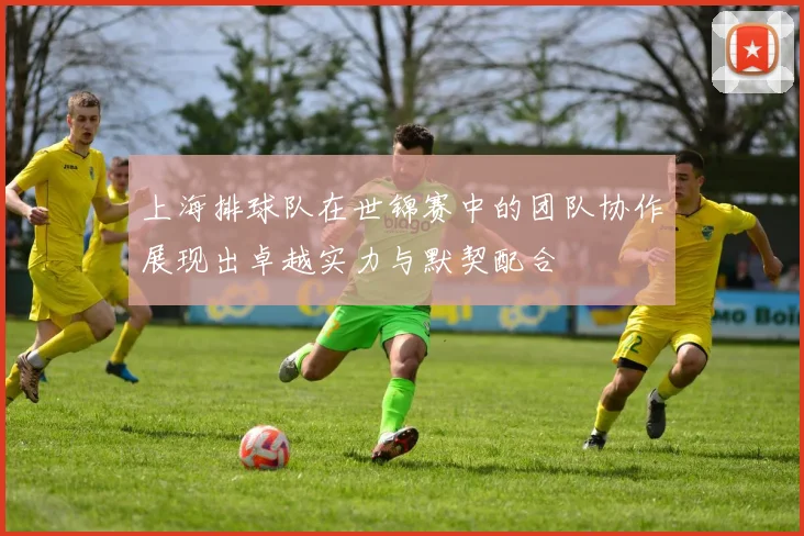 上海排球队在世锦赛中的团队协作展现出卓越实力与默契配合