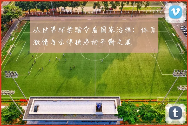 从世界杯禁赌令看国家治理:体育激情与法律秩序的平衡之道