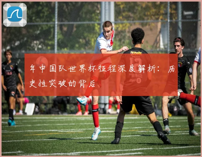 年中国队世界杯征程深度解析:历史性突破的背后