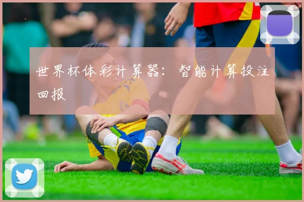 世界杯体彩计算器：智能计算投注回报