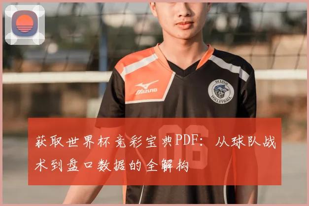 获取世界杯竞彩宝典PDF:从球队战术到盘口数据的全解构