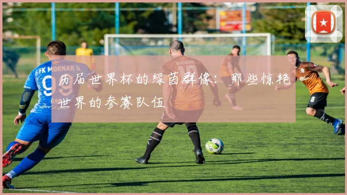 历届世界杯的绿茵群像:那些惊艳世界的参赛队伍