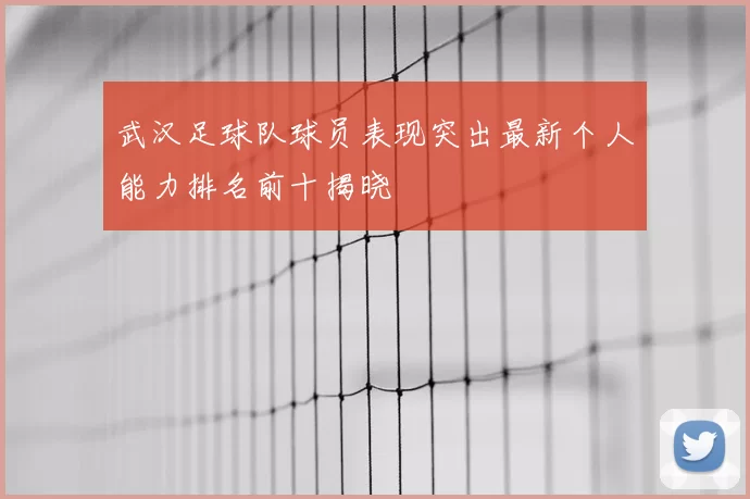 武汉足球队球员表现突出最新个人能力排名前十揭晓