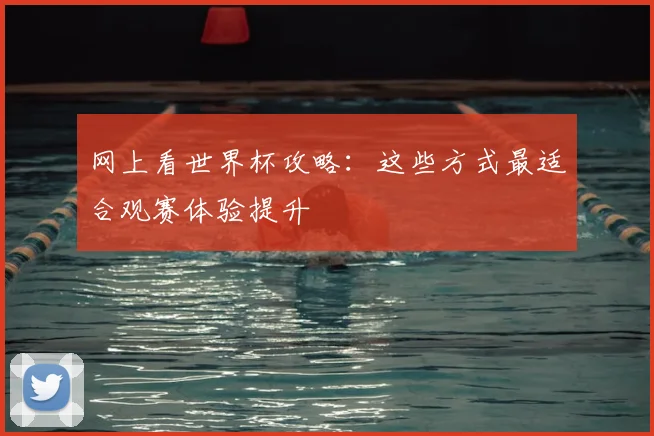 网上看世界杯攻略：这些方式最适合观赛体验提升