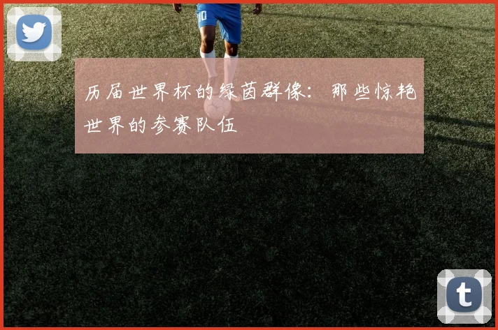 历届世界杯的绿茵群像:那些惊艳世界的参赛队伍
