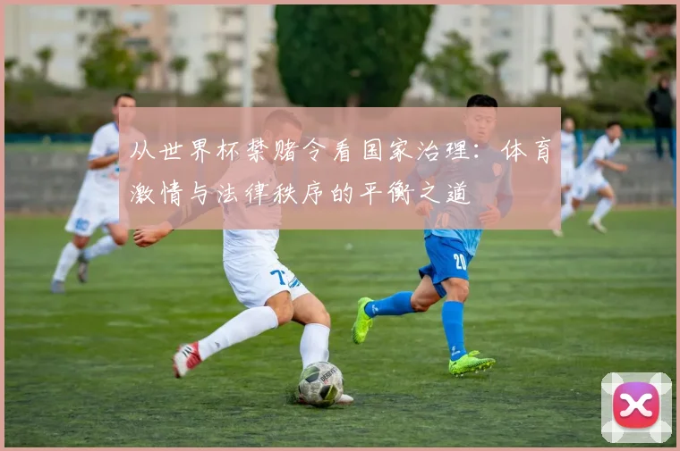 从世界杯禁赌令看国家治理:体育激情与法律秩序的平衡之道