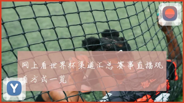 网上看世界杯渠道汇总 赛事直播观看方式一览
