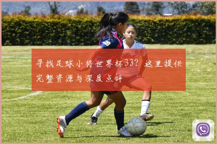 寻找足球小将世界杯33?这里提供完整资源与深度点评