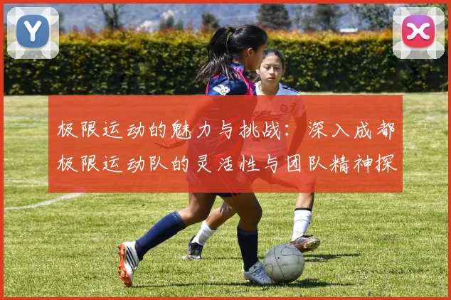 极限运动的魅力与挑战:深入成都极限运动队的灵活性与团队精神探索